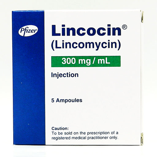 Lincocin (300mg/ml) Injection – 5 Ampoules | Antibiotic for Severe Bacterial Infections