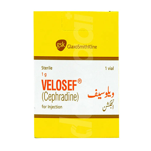 Velosef 1g Injection (Cefalexin) – Broad-Spectrum Antibiotic Vial